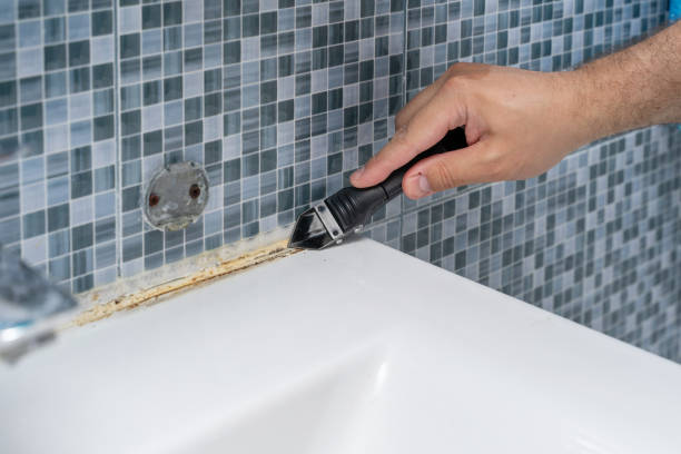 Best HVAC Mold Remediation in La Riviera, CA
